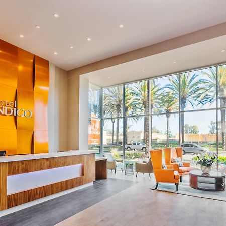Hotel Indigo Anaheim By Ihg Bagian luar foto